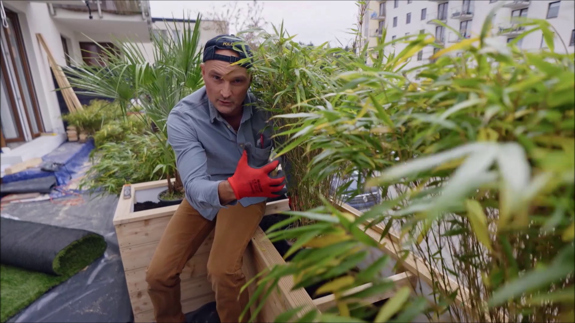 "Polowanie na ogród - tarasy": bambus to roślina idealna na balkony i tarasy